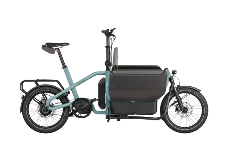 Riese & Muller Carrie ebike, design to carry up to 3 small passengers.